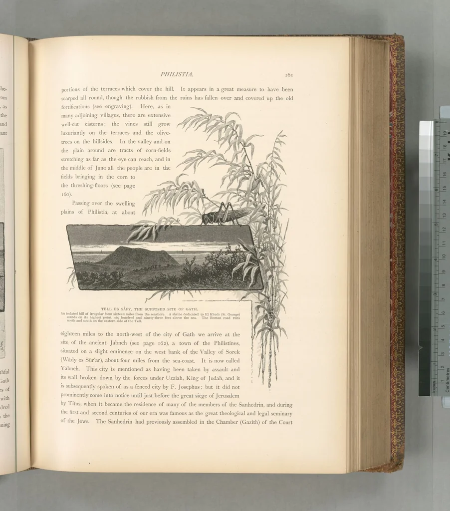 An illustration from Picturesque Palestine, Sinai and Egypt, 1881, leaf 424