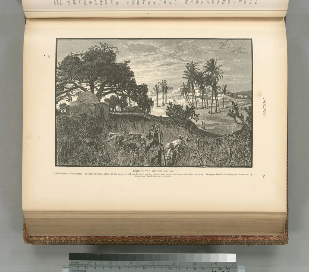 An illustration from Picturesque Palestine, Sinai and Egypt, 1881, leaf 426
