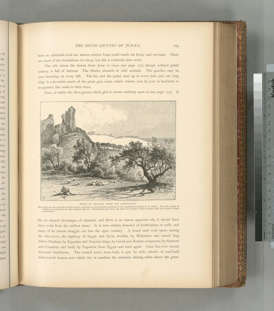 An illustration from Picturesque Palestine, Sinai and Egypt, 1881, leaf 428