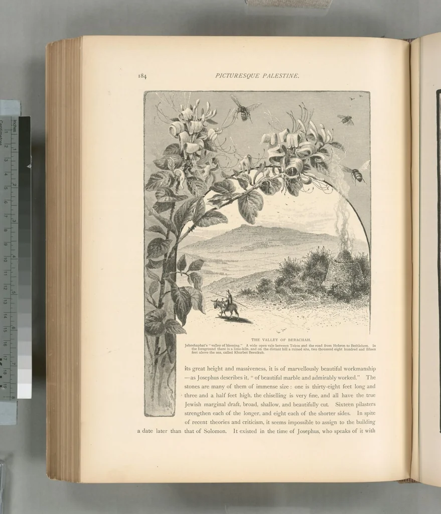 An illustration from Picturesque Palestine, Sinai and Egypt, 1881, leaf 439