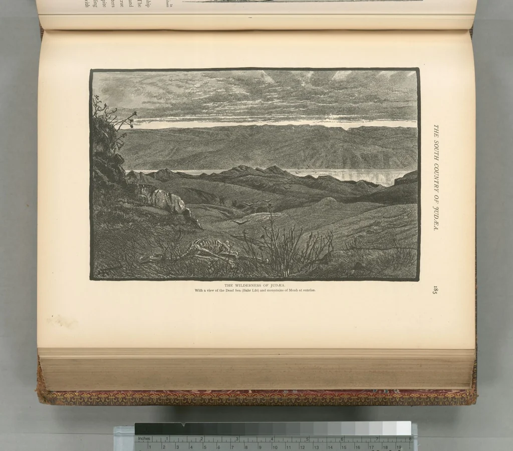An illustration from Picturesque Palestine, Sinai and Egypt, 1881, leaf 440