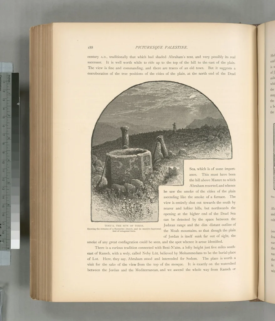An illustration from Picturesque Palestine, Sinai and Egypt, 1881, leaf 441