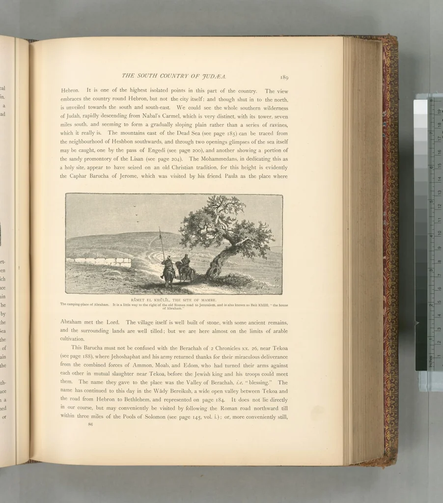 An illustration from Picturesque Palestine, Sinai and Egypt, 1881, leaf 442