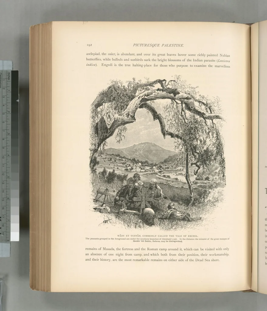 An illustration from Picturesque Palestine, Sinai and Egypt, 1881, leaf 443