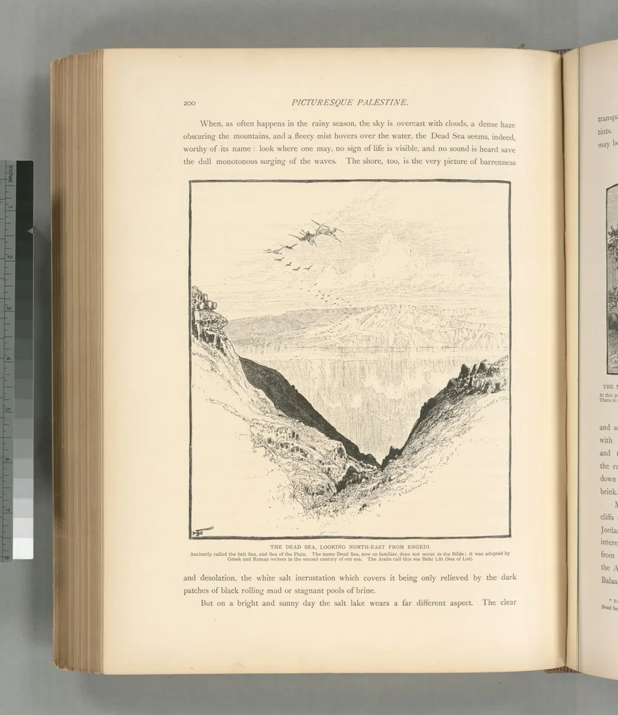 An illustration from Picturesque Palestine, Sinai and Egypt, 1881, leaf 447