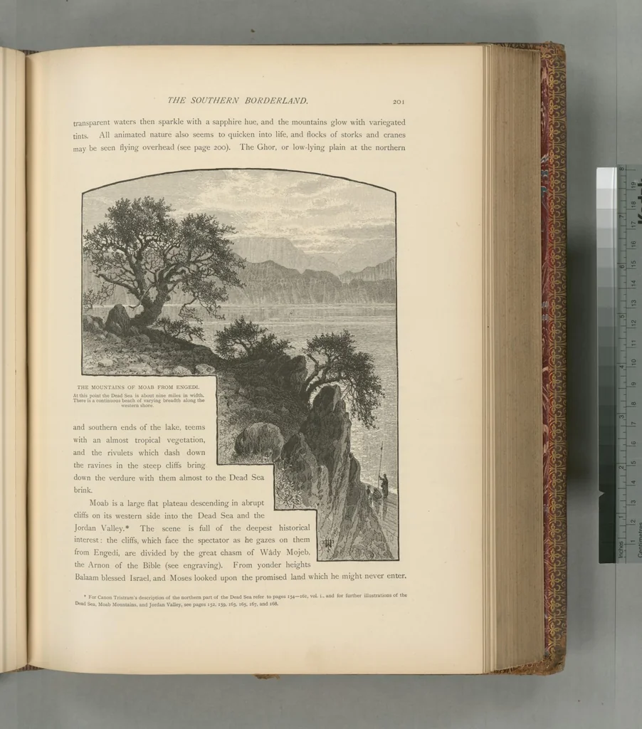 An illustration from Picturesque Palestine, Sinai and Egypt, 1881, leaf 448