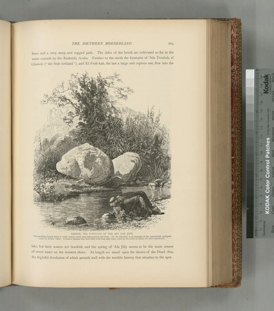 An illustration from Picturesque Palestine, Sinai and Egypt, 1881, leaf 449