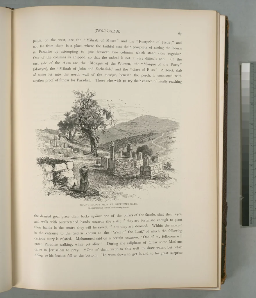 An illustration from Picturesque Palestine, Sinai and Egypt, 1881, leaf 45