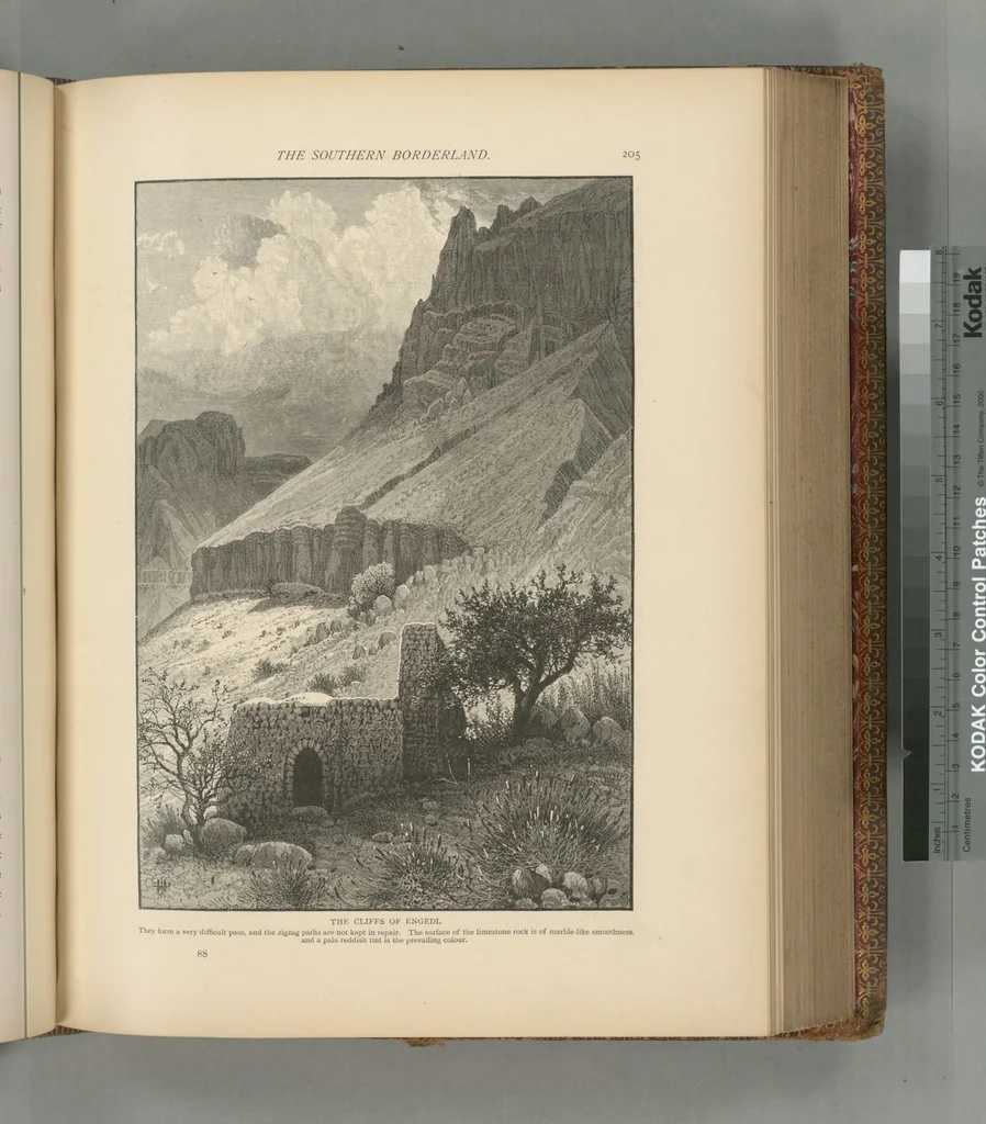 An illustration from Picturesque Palestine, Sinai and Egypt, 1881, leaf 451