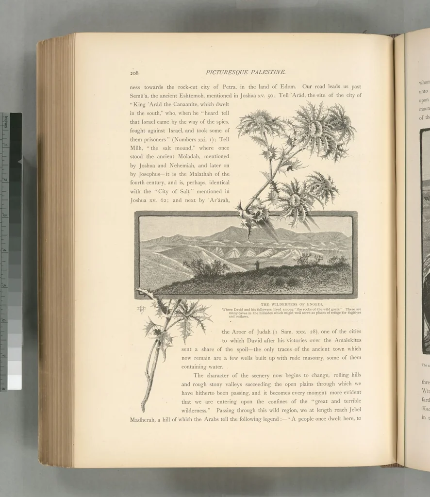An illustration from Picturesque Palestine, Sinai and Egypt, 1881, leaf 452