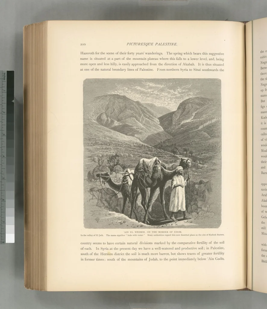 An illustration from Picturesque Palestine, Sinai and Egypt, 1881, leaf 454