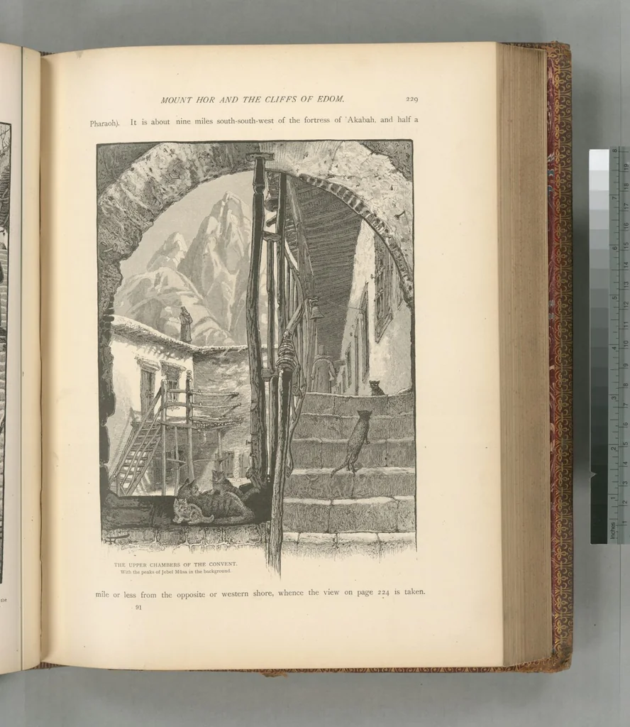 An illustration from Picturesque Palestine, Sinai and Egypt, 1881, leaf 466