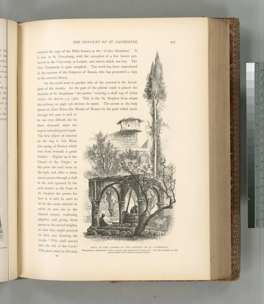 An illustration from Picturesque Palestine, Sinai and Egypt, 1881, leaf 471