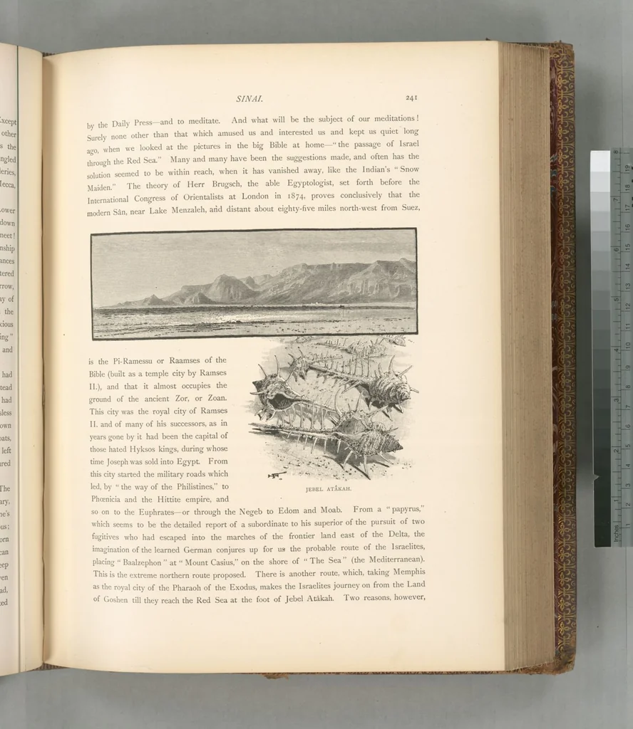 An illustration from Picturesque Palestine, Sinai and Egypt, 1881, leaf 474