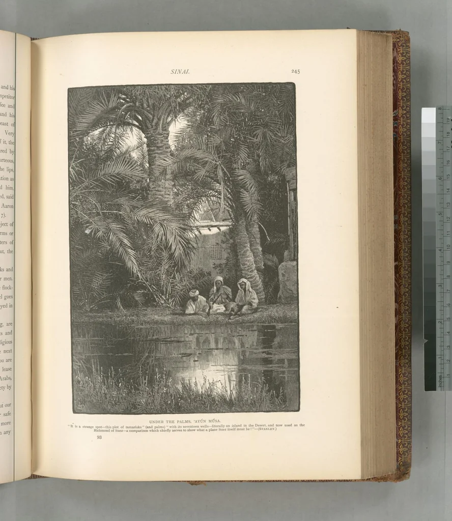 An illustration from Picturesque Palestine, Sinai and Egypt, 1881, leaf 475