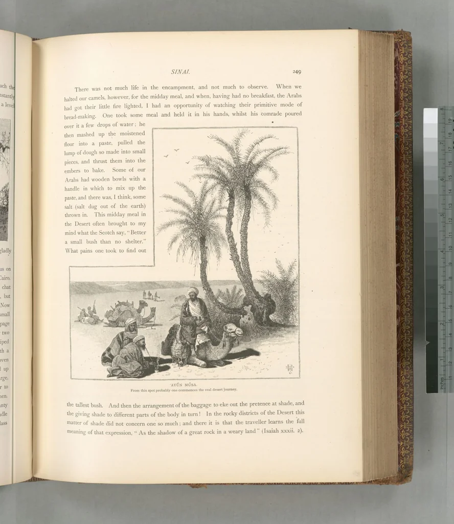An illustration from Picturesque Palestine, Sinai and Egypt, 1881, leaf 477