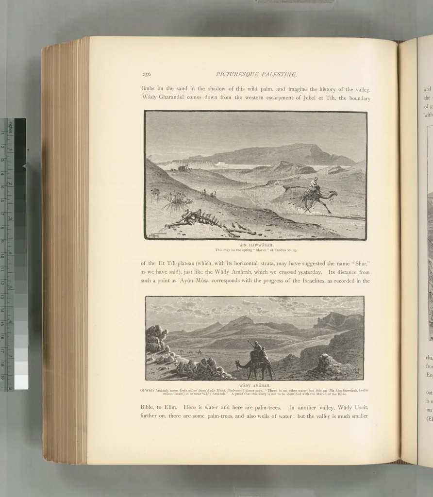 An illustration from Picturesque Palestine, Sinai and Egypt, 1881, leaf 482