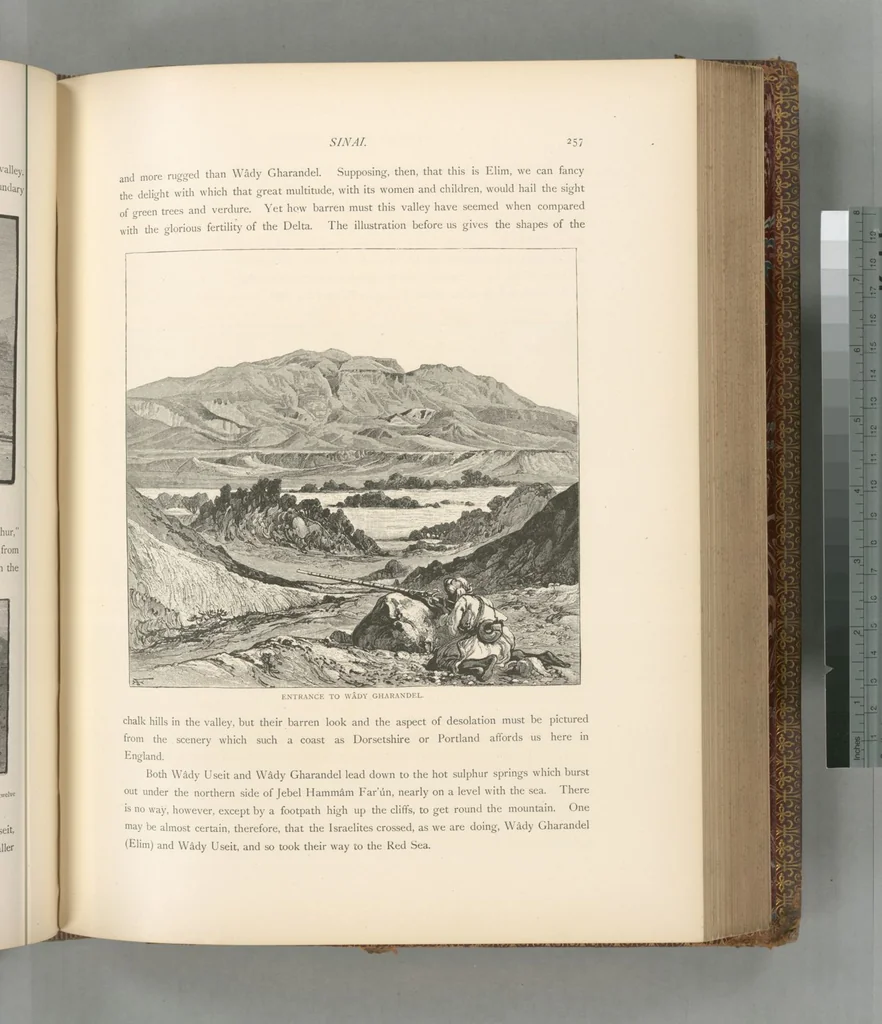An illustration from Picturesque Palestine, Sinai and Egypt, 1881, leaf 484