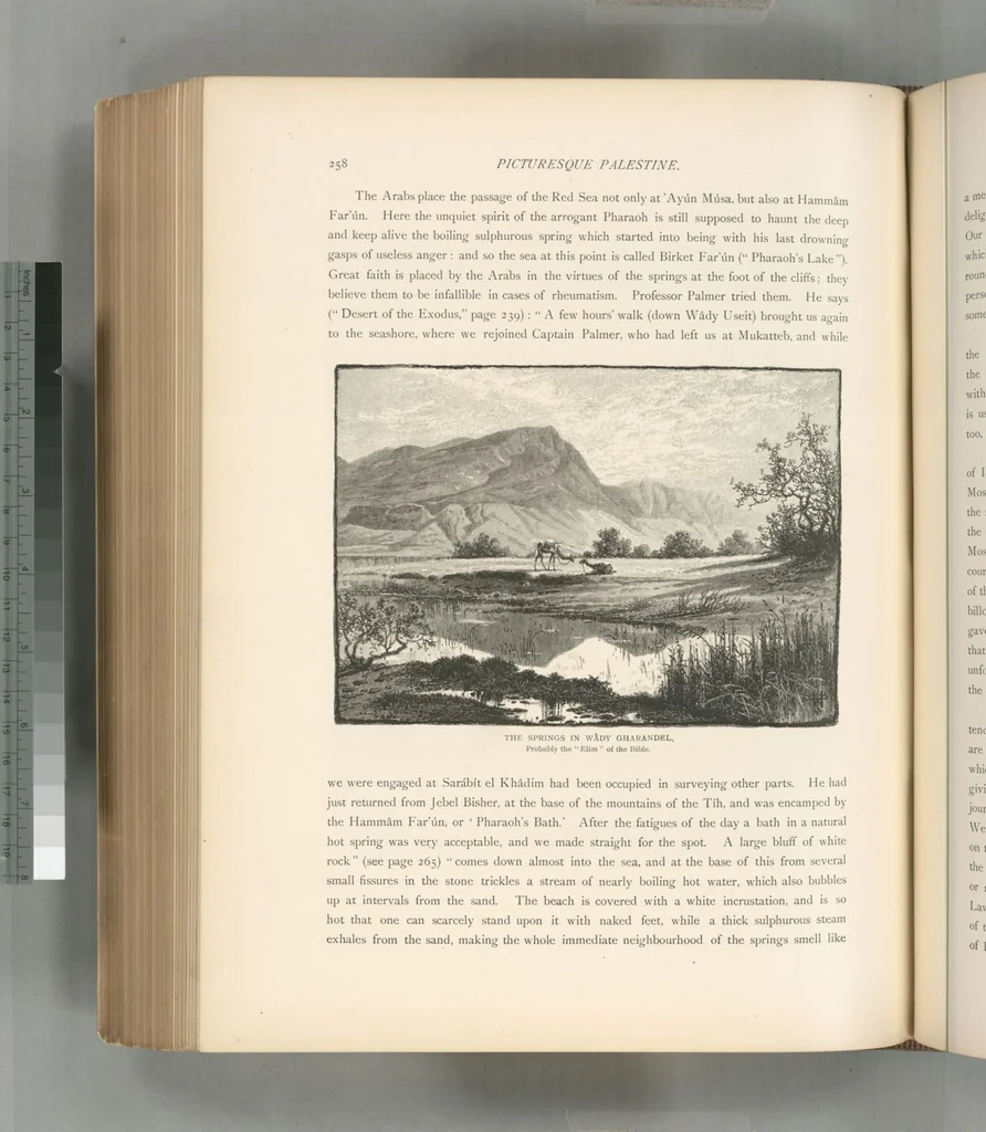 An illustration from Picturesque Palestine, Sinai and Egypt, 1881, leaf 485