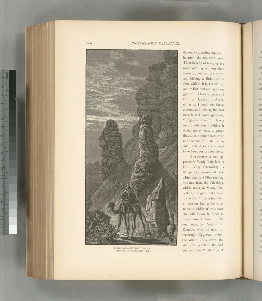 An illustration from Picturesque Palestine, Sinai and Egypt, 1881, leaf 488