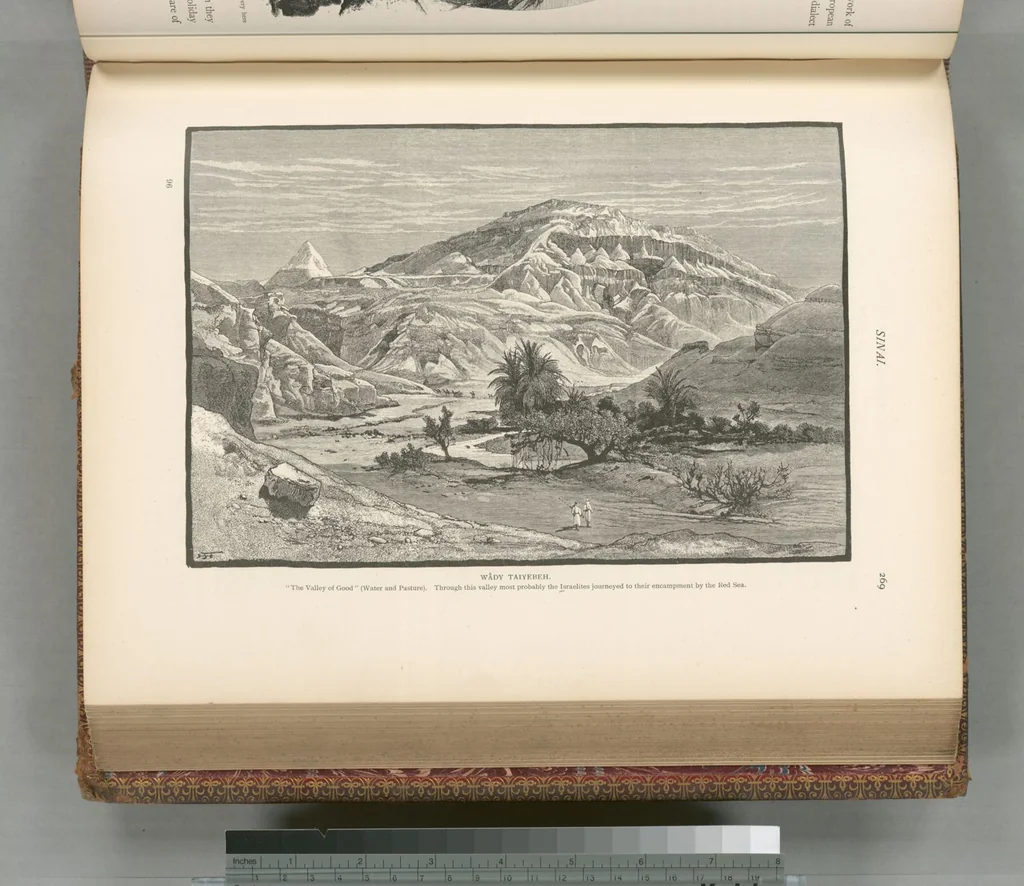 An illustration from Picturesque Palestine, Sinai and Egypt, 1881, leaf 490