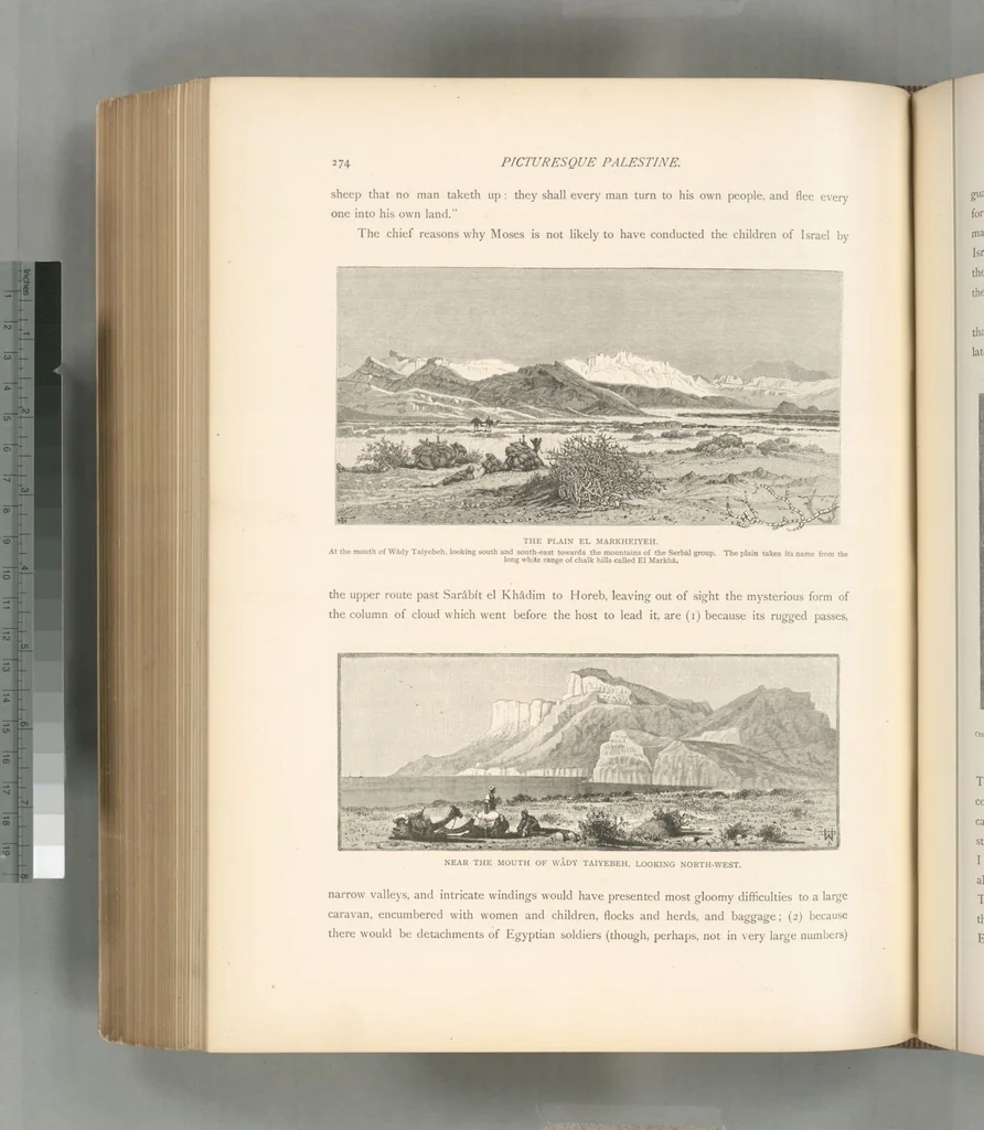 An illustration from Picturesque Palestine, Sinai and Egypt, 1881, leaf 492
