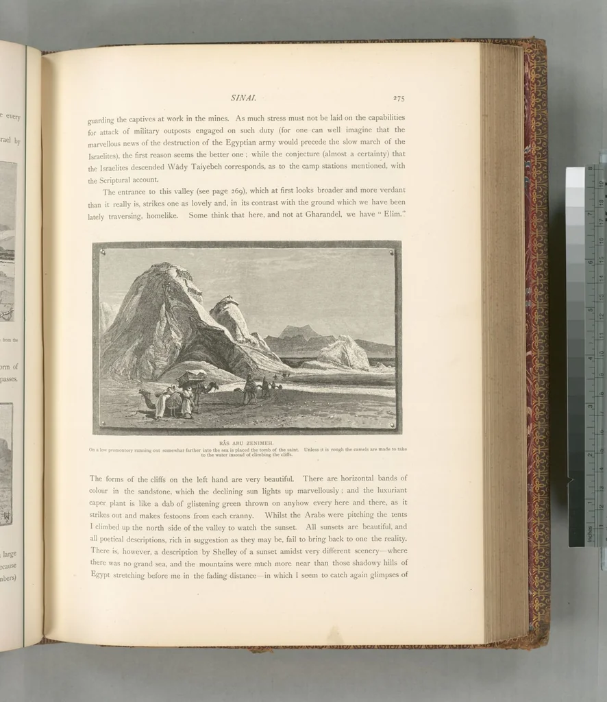 An illustration from Picturesque Palestine, Sinai and Egypt, 1881, leaf 494