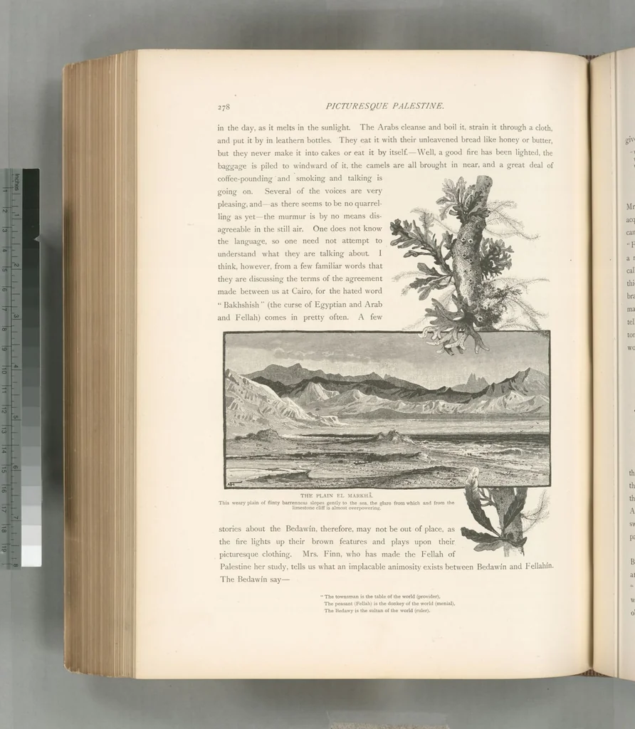 An illustration from Picturesque Palestine, Sinai and Egypt, 1881, leaf 496