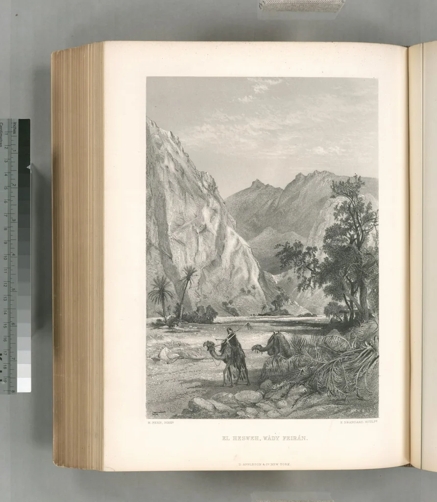 An illustration from Picturesque Palestine, Sinai and Egypt, 1881, leaf 500