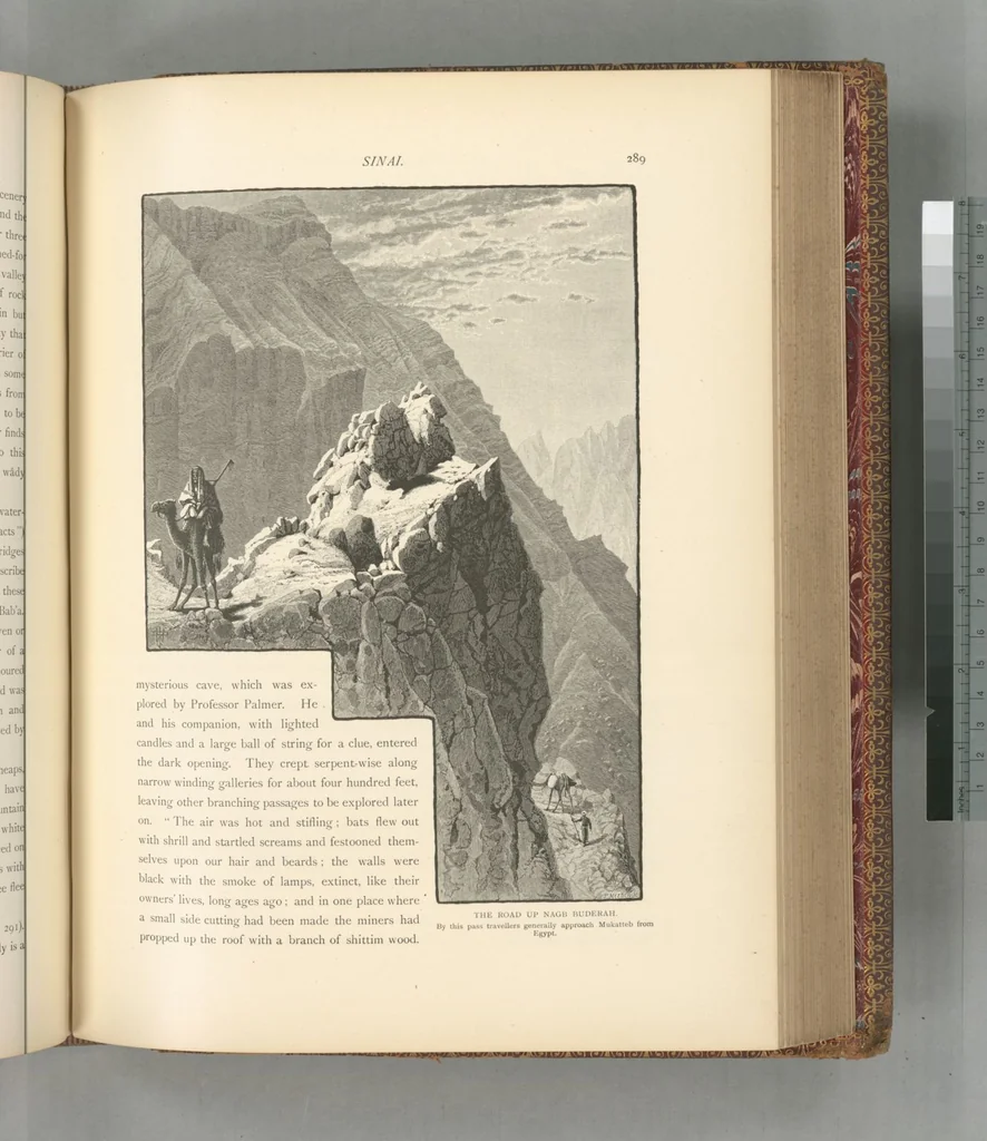 An illustration from Picturesque Palestine, Sinai and Egypt, 1881, leaf 502
