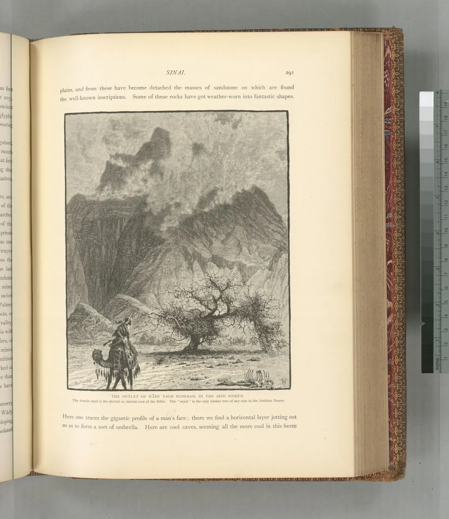 An illustration from Picturesque Palestine, Sinai and Egypt, 1881, leaf 503