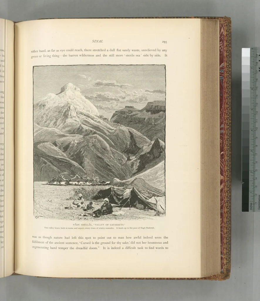 An illustration from Picturesque Palestine, Sinai and Egypt, 1881, leaf 504