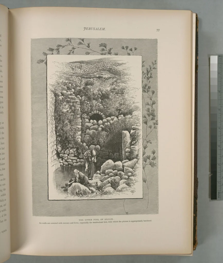 An illustration from Picturesque Palestine, Sinai and Egypt, 1881, leaf 51