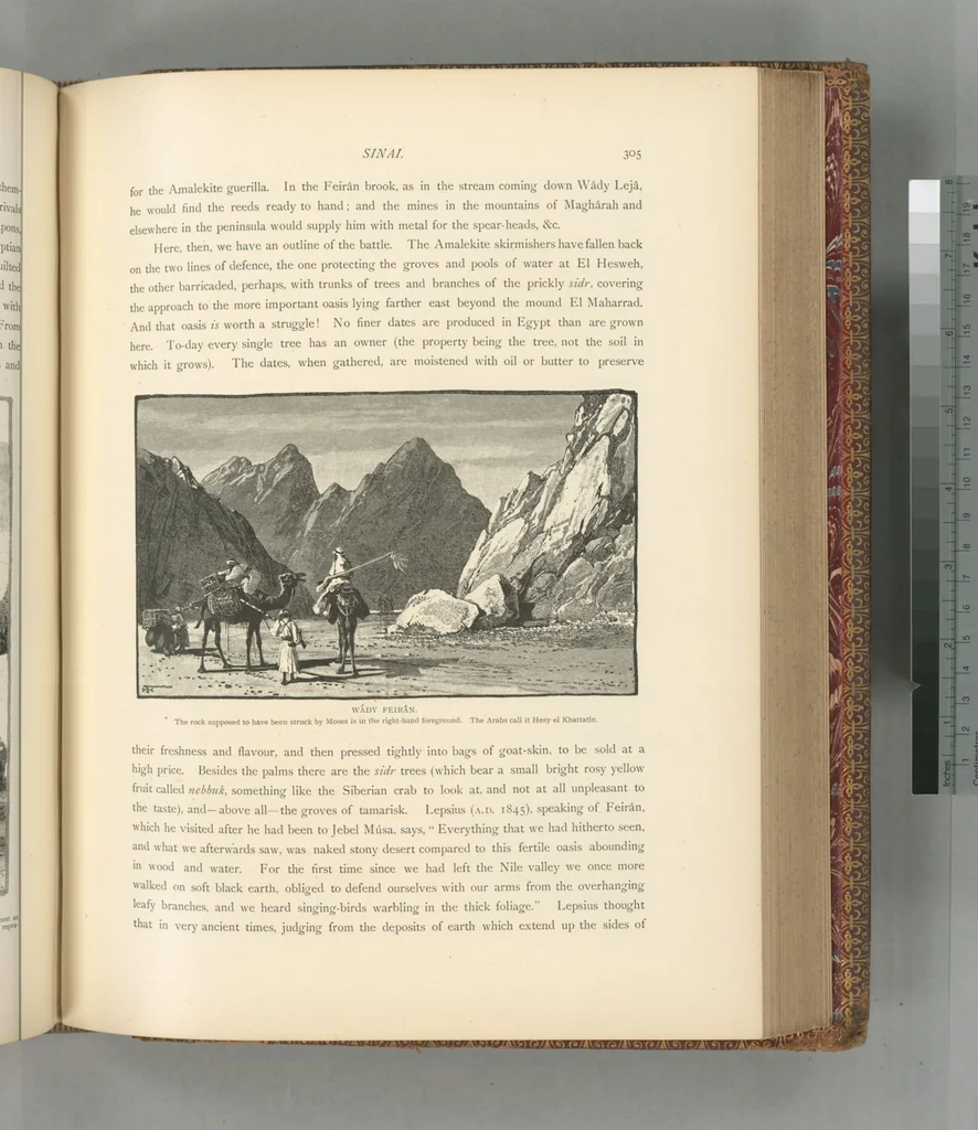 An illustration from Picturesque Palestine, Sinai and Egypt, 1881, leaf 510