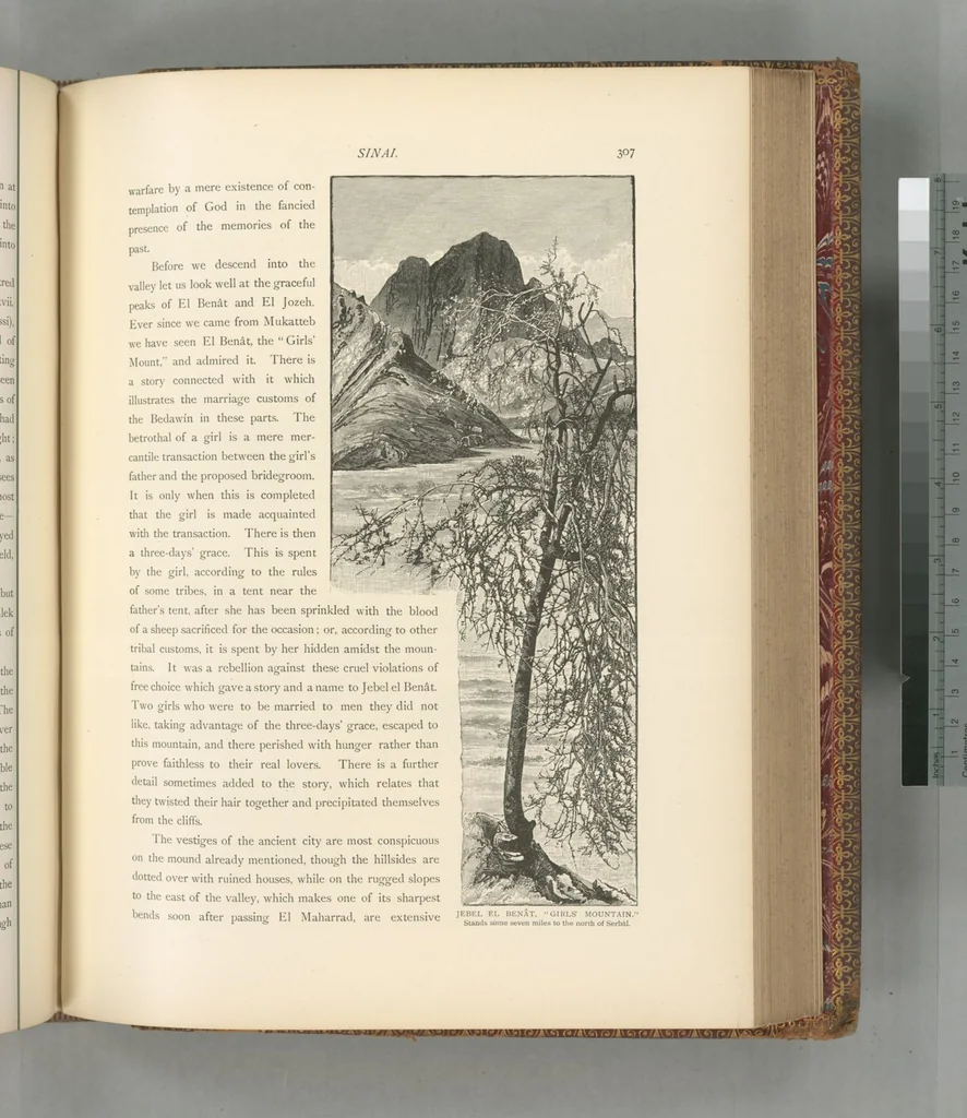 An illustration from Picturesque Palestine, Sinai and Egypt, 1881, leaf 511