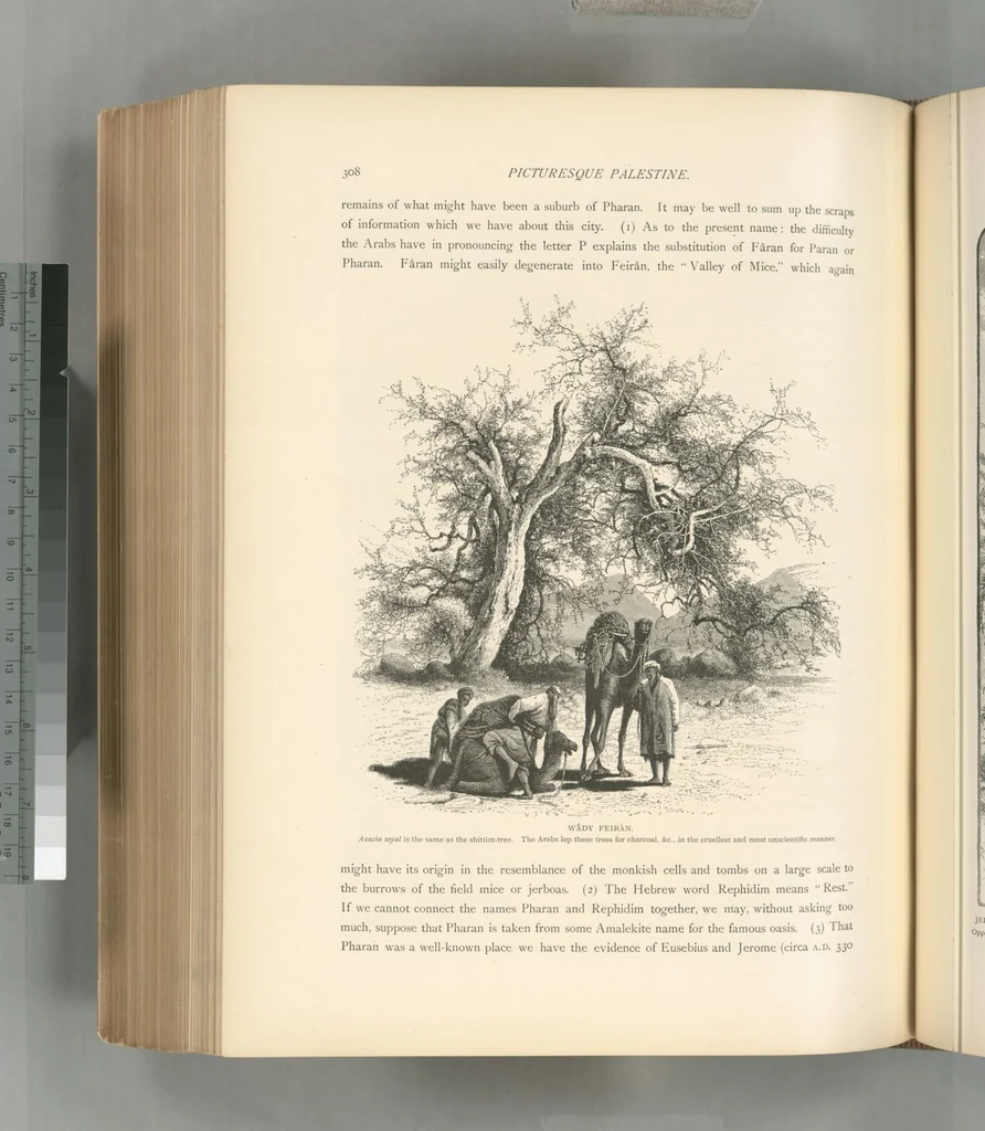 An illustration from Picturesque Palestine, Sinai and Egypt, 1881, leaf 512