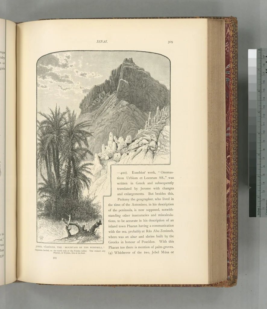 An illustration from Picturesque Palestine, Sinai and Egypt, 1881, leaf 513