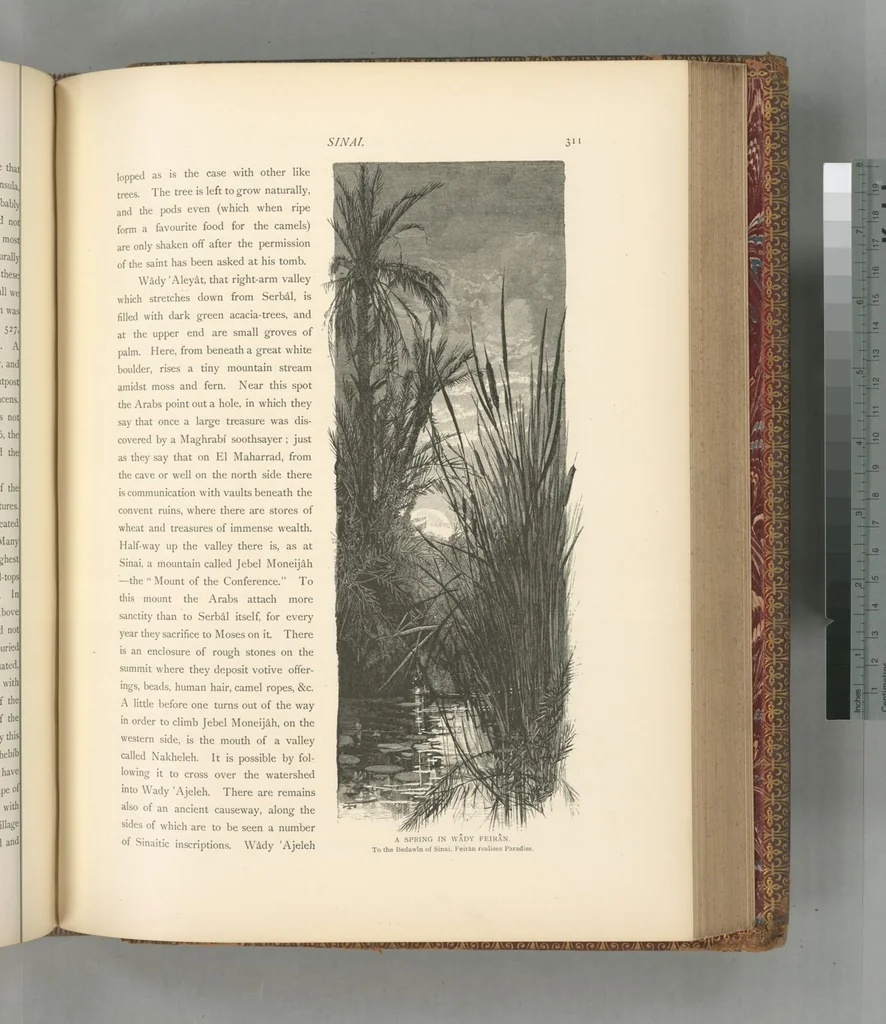 An illustration from Picturesque Palestine, Sinai and Egypt, 1881, leaf 514