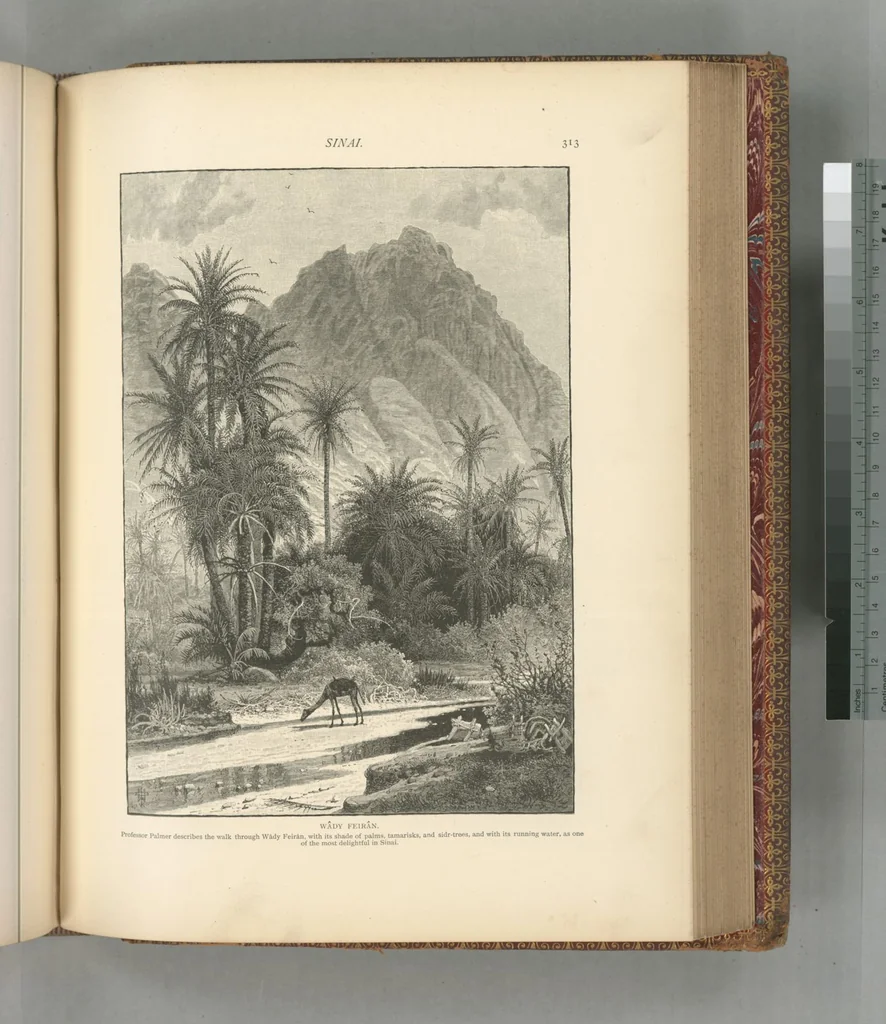 An illustration from Picturesque Palestine, Sinai and Egypt, 1881, leaf 516