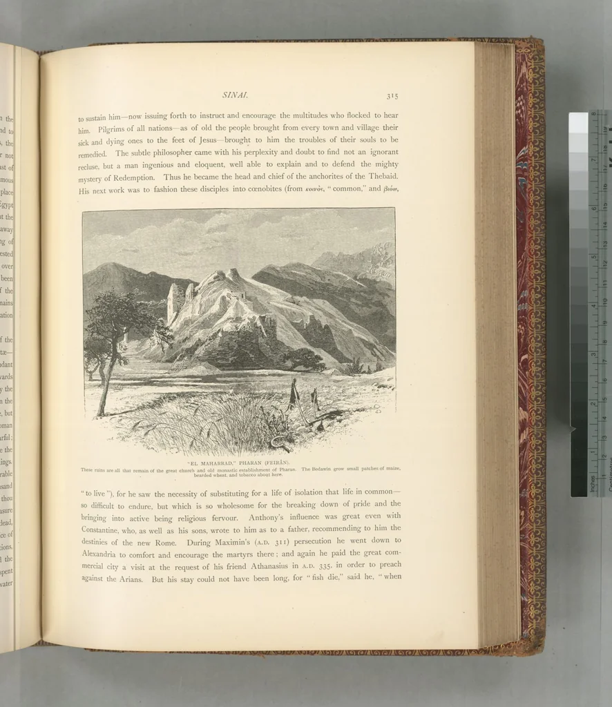 An illustration from Picturesque Palestine, Sinai and Egypt, 1881, leaf 517