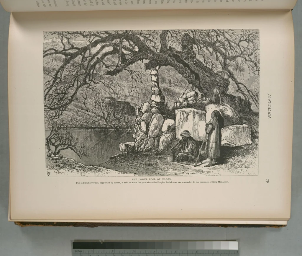 An illustration from Picturesque Palestine, Sinai and Egypt, 1881, leaf 52