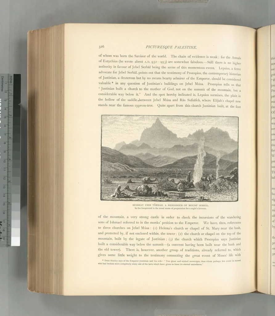 An illustration from Picturesque Palestine, Sinai and Egypt, 1881, leaf 521
