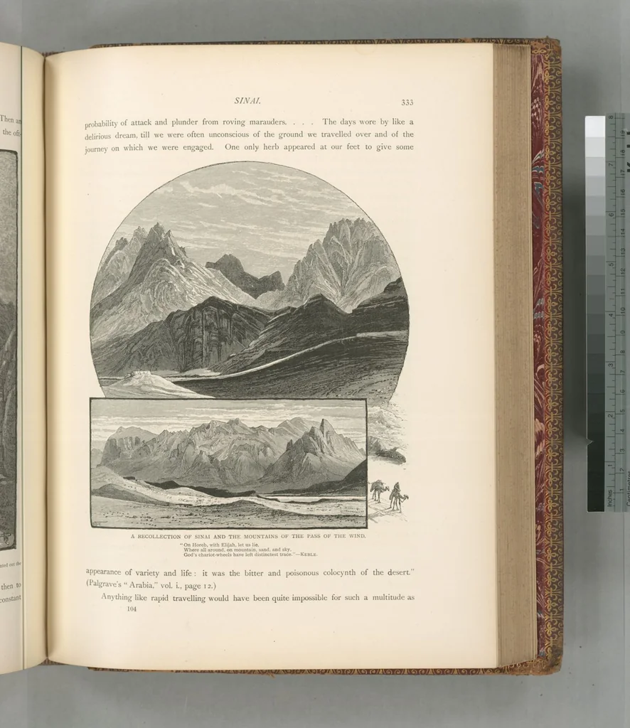 An illustration from Picturesque Palestine, Sinai and Egypt, 1881, leaf 525