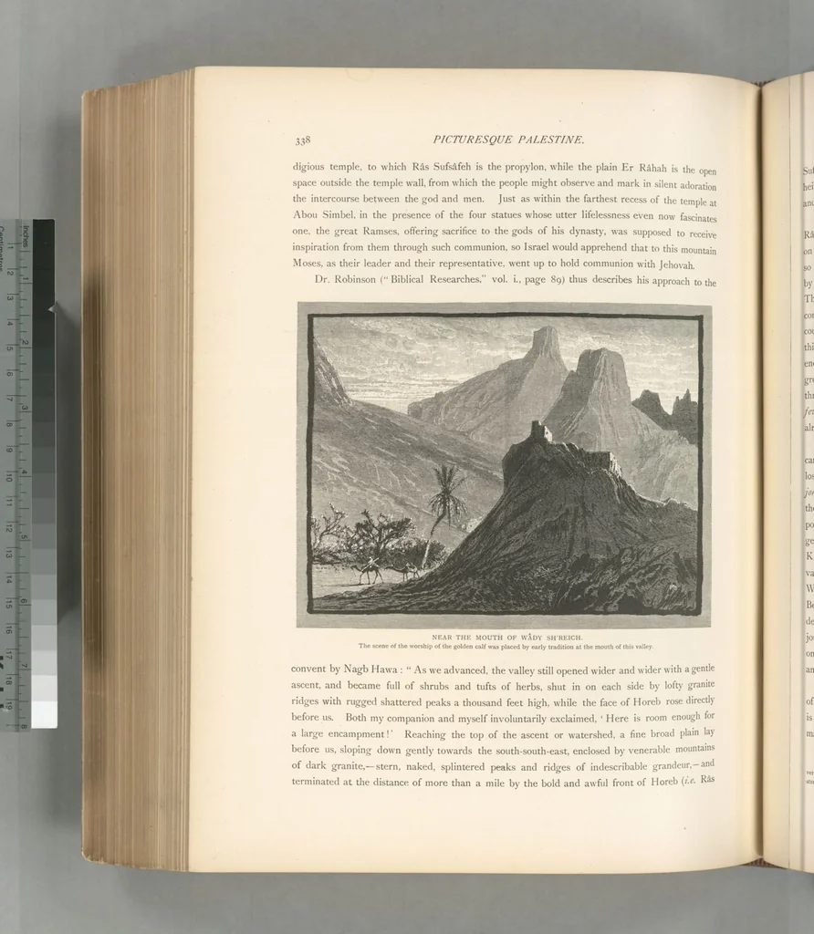 An illustration from Picturesque Palestine, Sinai and Egypt, 1881, leaf 528