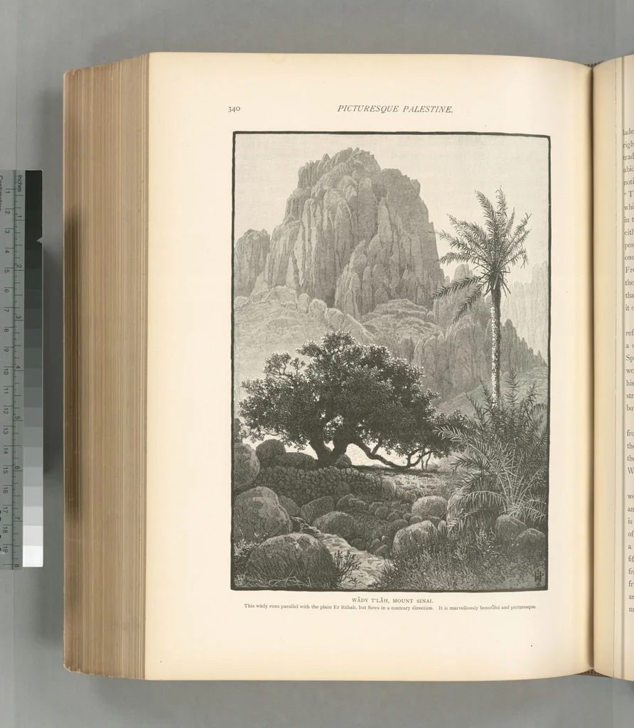 An illustration from Picturesque Palestine, Sinai and Egypt, 1881, leaf 529