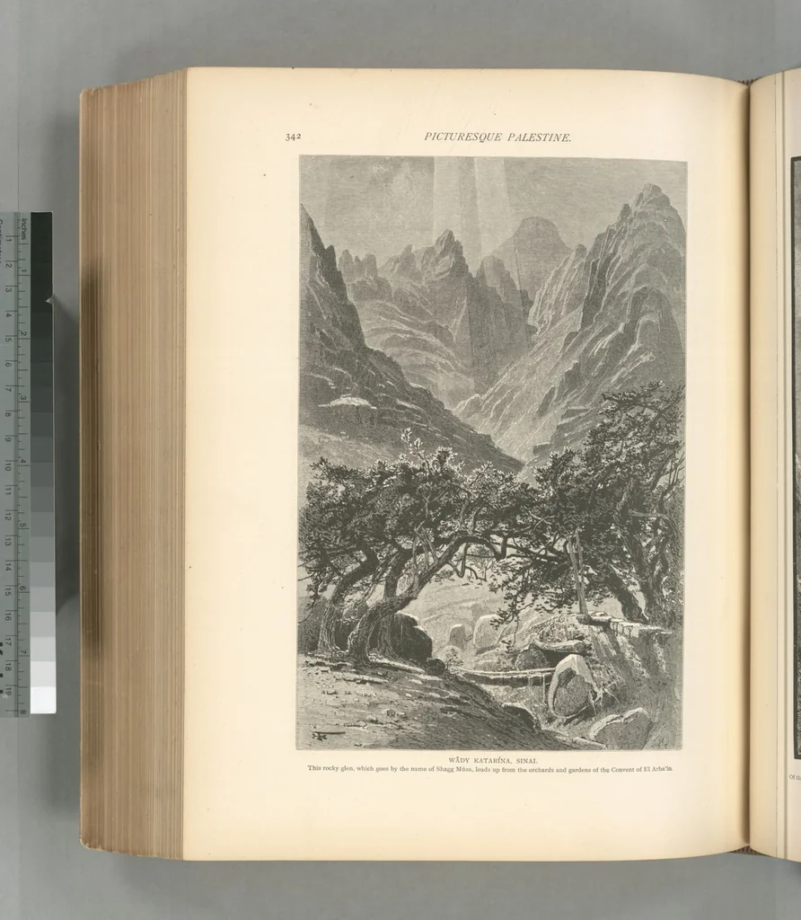 An illustration from Picturesque Palestine, Sinai and Egypt, 1881, leaf 530