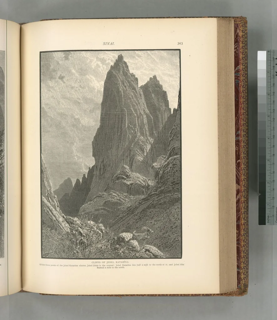 An illustration from Picturesque Palestine, Sinai and Egypt, 1881, leaf 531