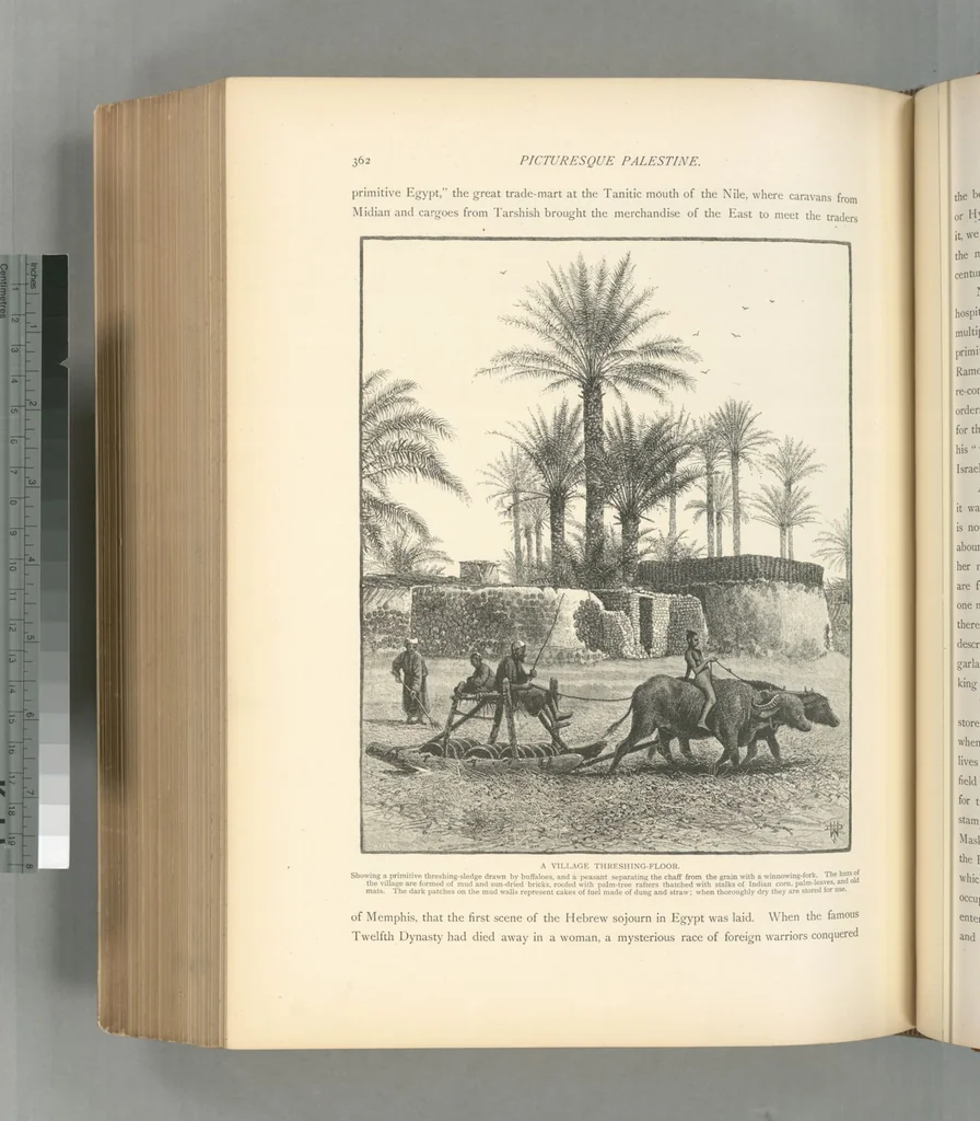 An illustration from Picturesque Palestine, Sinai and Egypt, 1881, leaf 548
