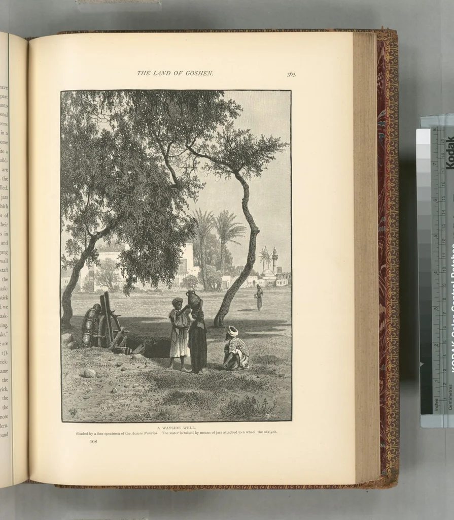 An illustration from Picturesque Palestine, Sinai and Egypt, 1881, leaf 550