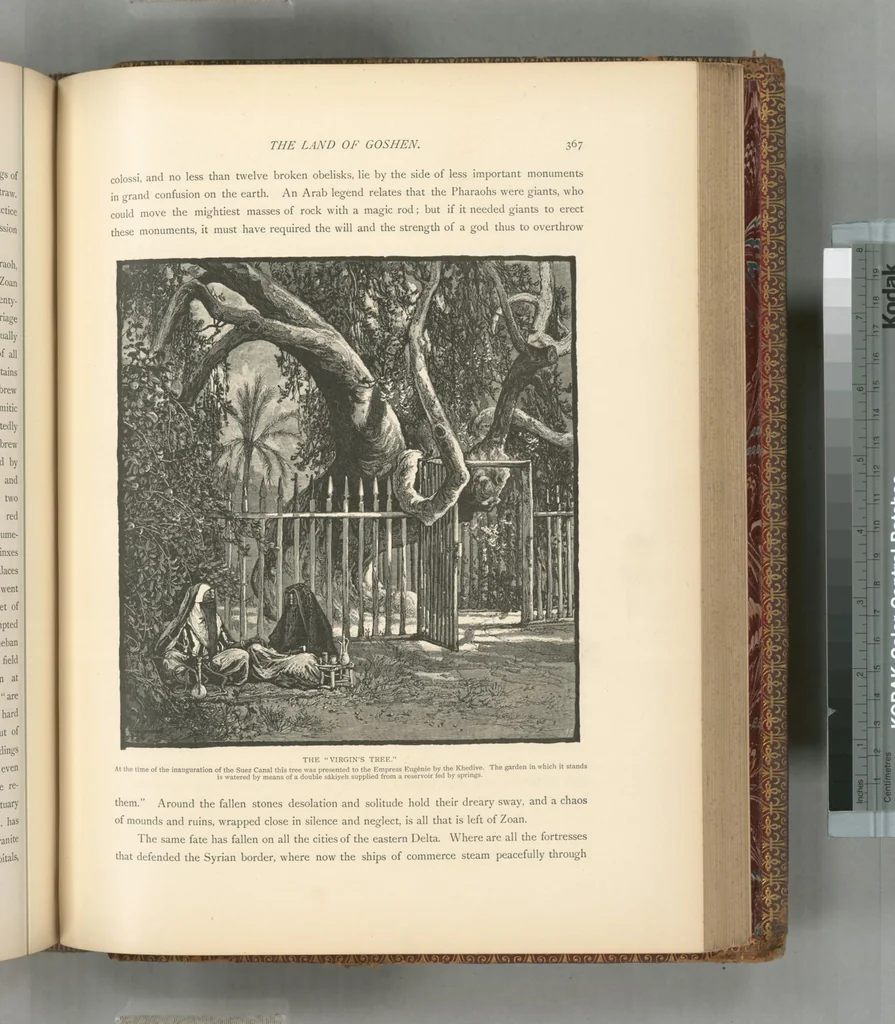 An illustration from Picturesque Palestine, Sinai and Egypt, 1881, leaf 552